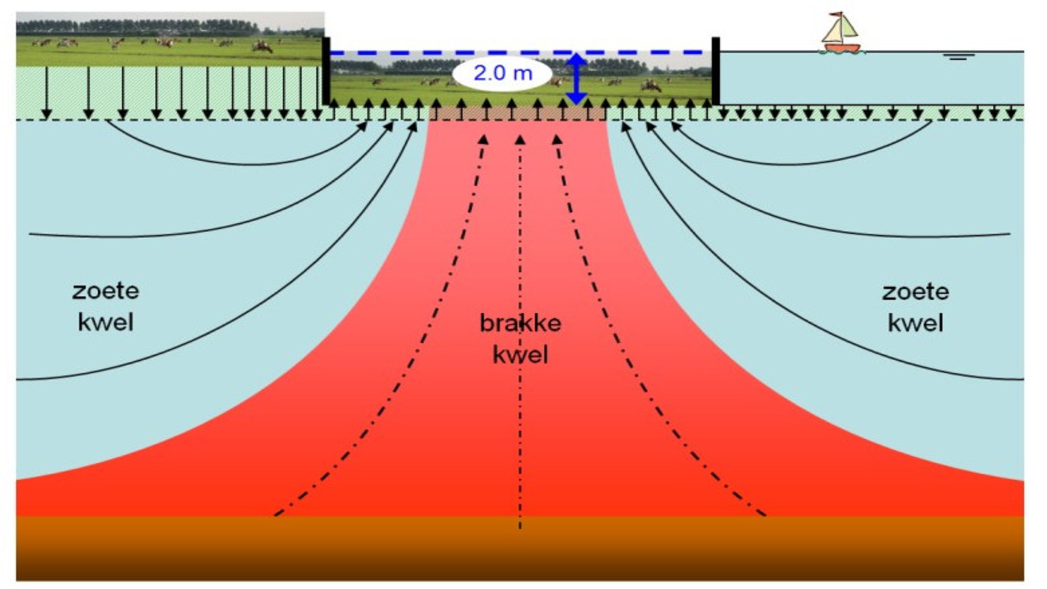 huidige-situatie-brak-grondwater-resizeimage.jpg