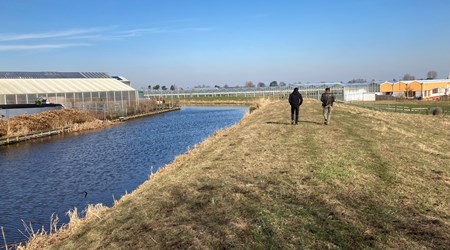 Ringdijk Polder Zevenhoven-Oost
