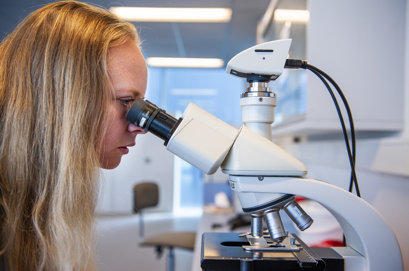 testen-microscoop.jpg