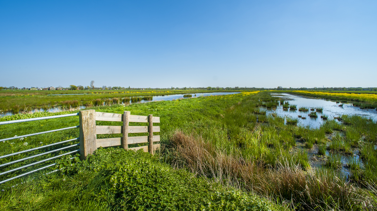 Boerenlandschap Bethunepolder.jpg