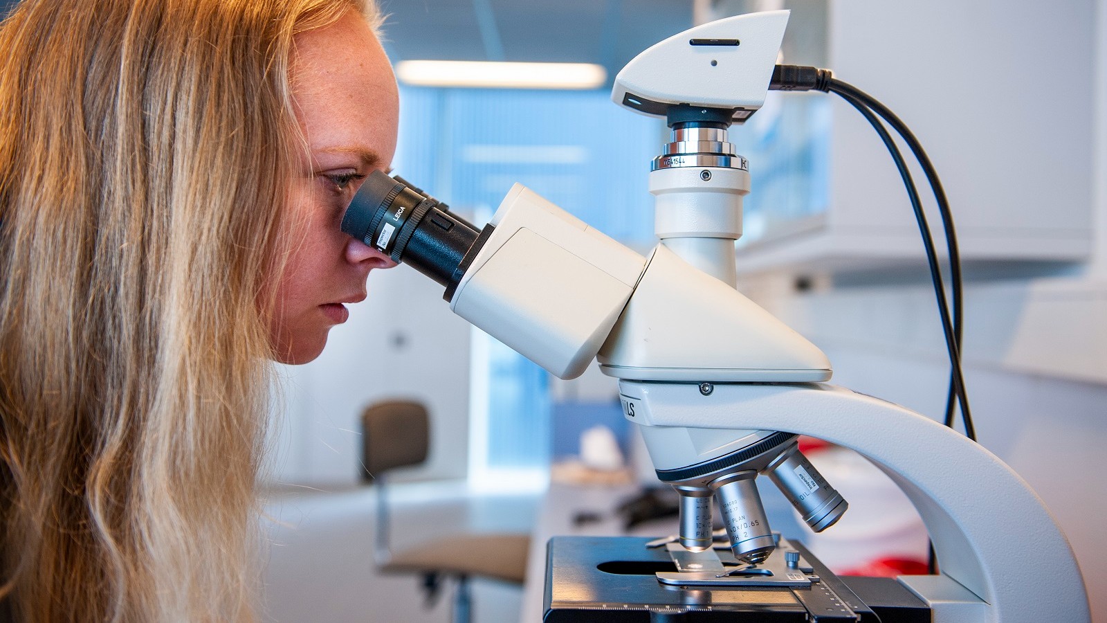 pfas microscoop.jpg