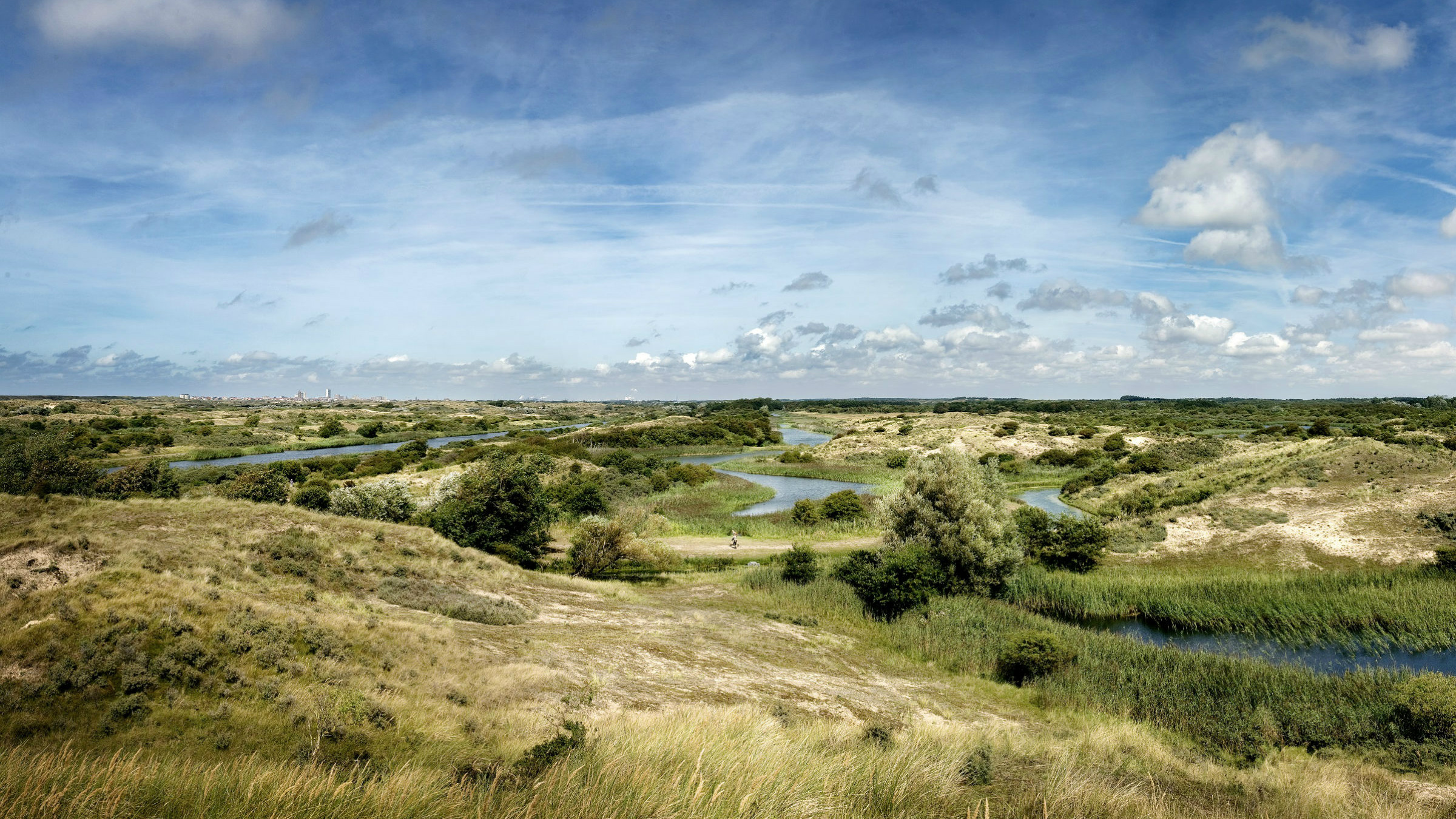 Amsterdamse Waterleidingduinen.jpg