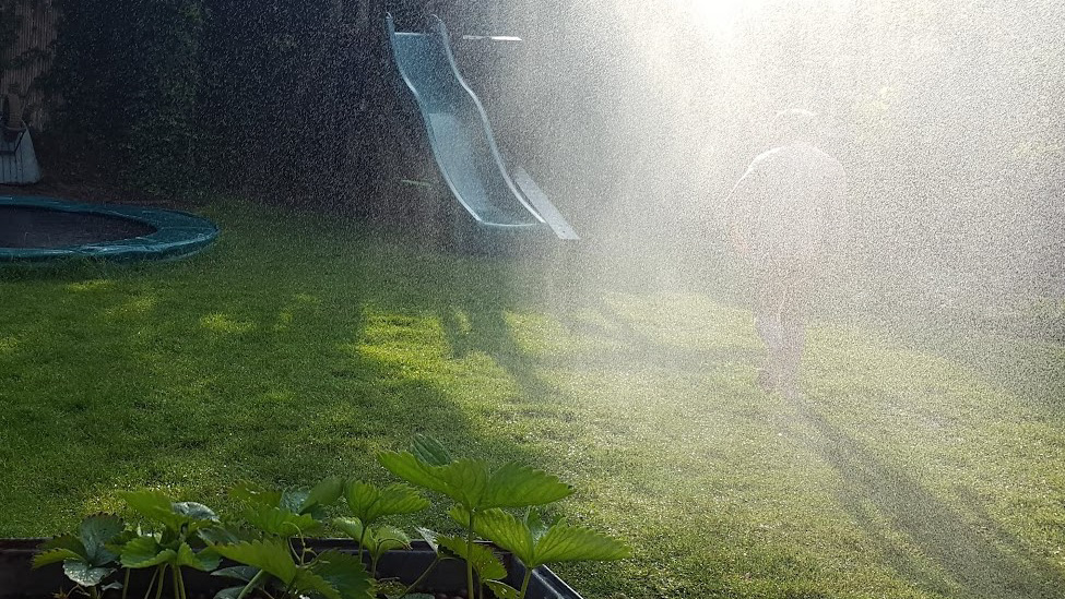 tuin_besproeien_def_edited_16x9.jpg