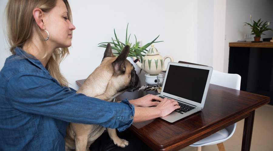 Vrouw met laptop en hond
