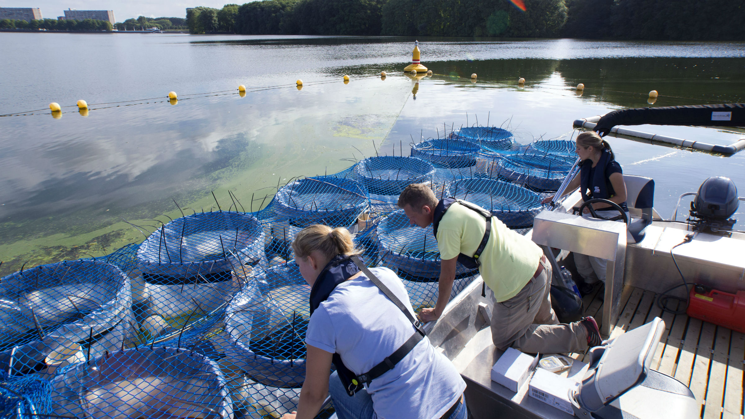 Onderzoek naar de waterkwaliteit op de Sloterplas